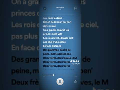 Deux Frères - PNL ( speed up )