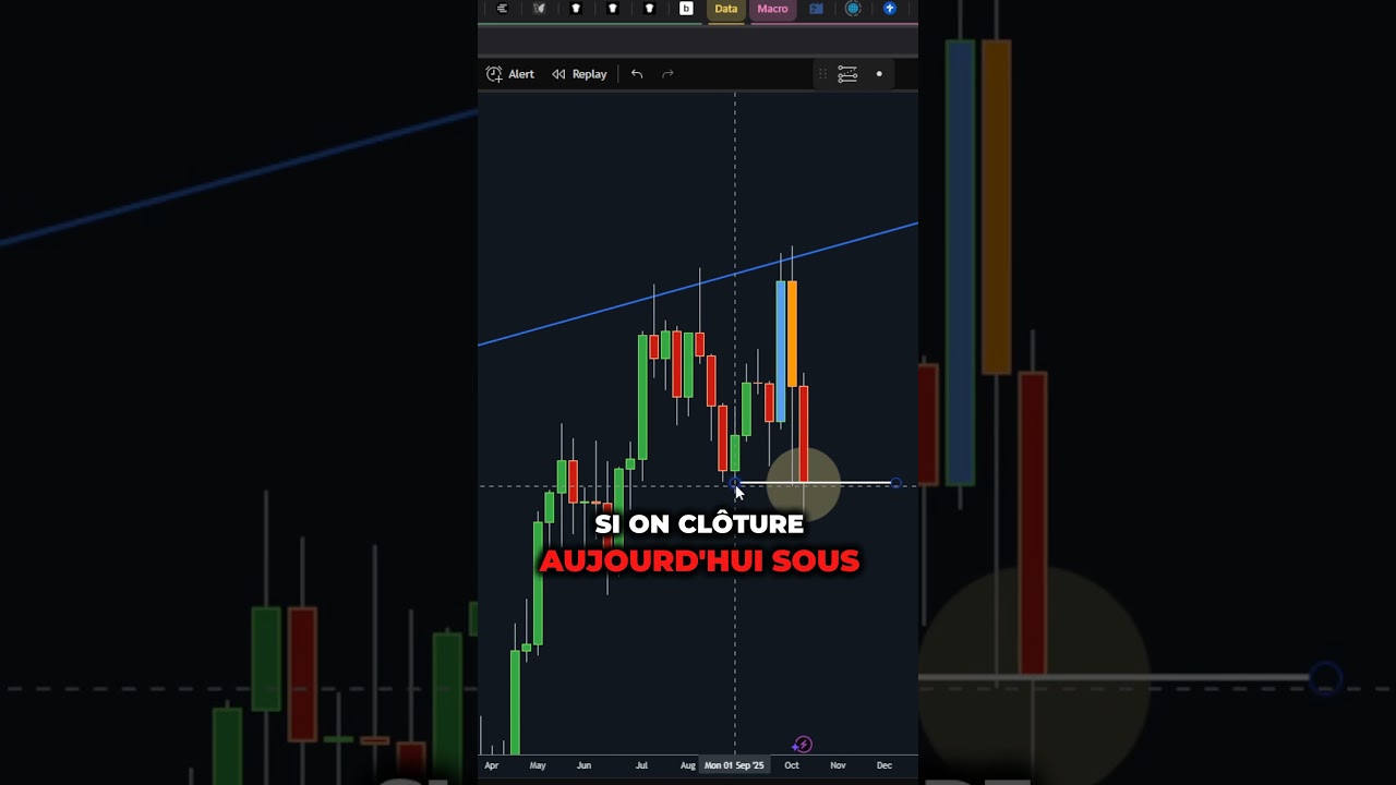 🚨 La Signal Ultime pour Investir dans le Bitcoin en 2025 — C'est le Moment !