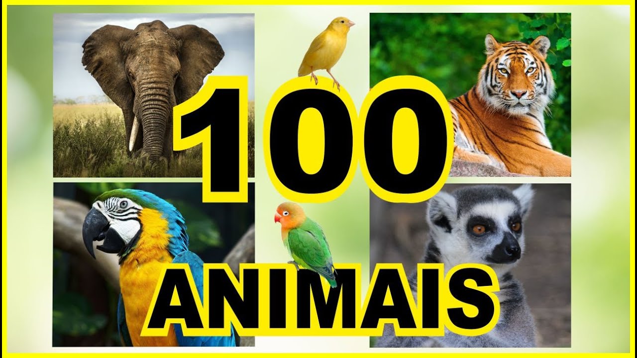 100 🌟 100 Animais Reais para Crianças: Nomes e Sons Educativos