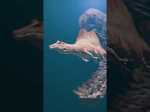 Dinosaur Eat Dinosaur | Nothosaurus Vs Spinosaurus