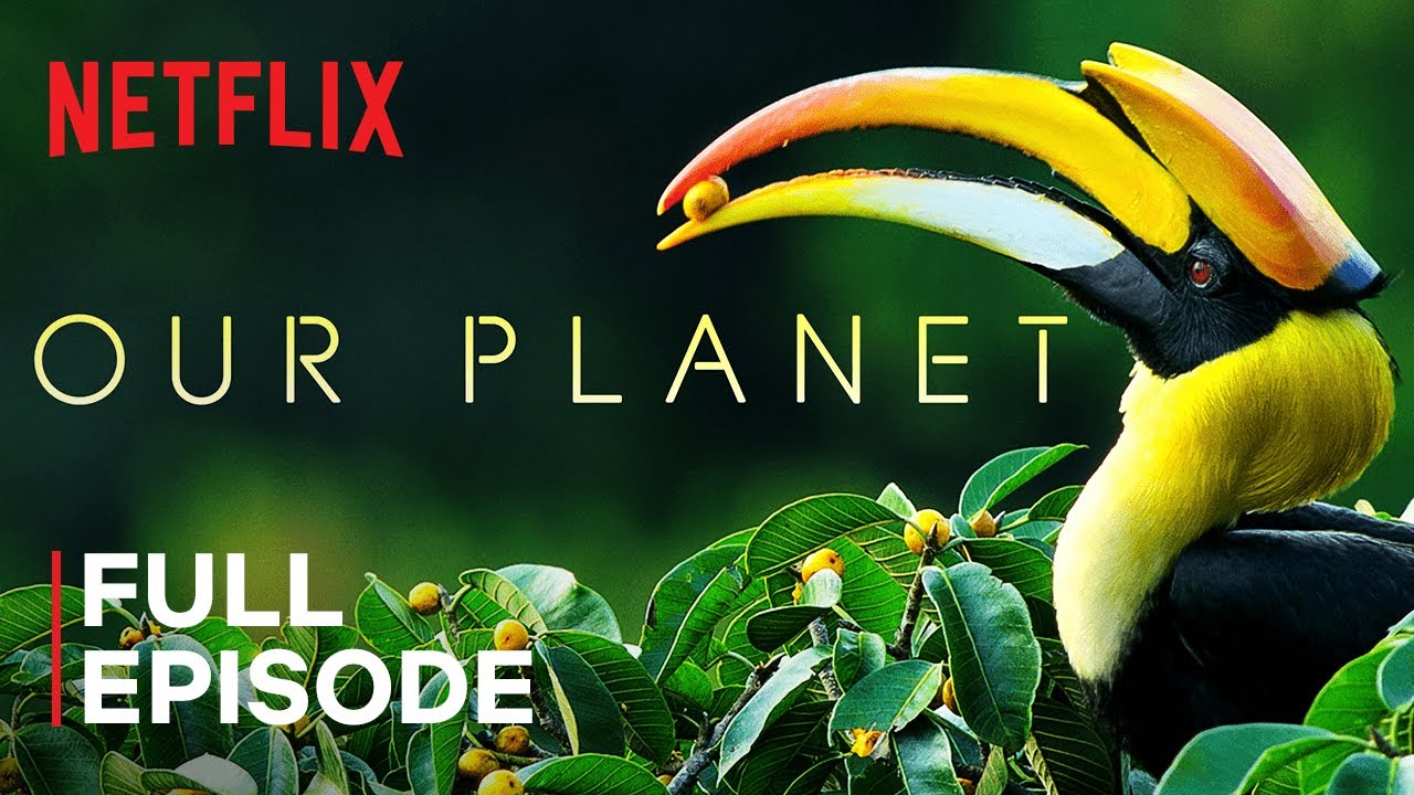 Our Planet 🌍 | Forests | Full Episode on Netflix