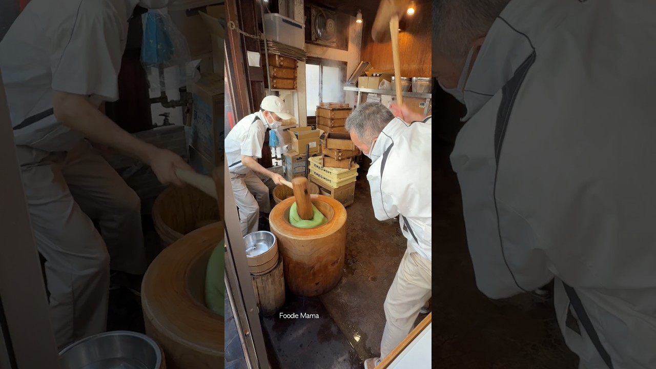 Nara's Famous Mochi at Nakatanido 🍡