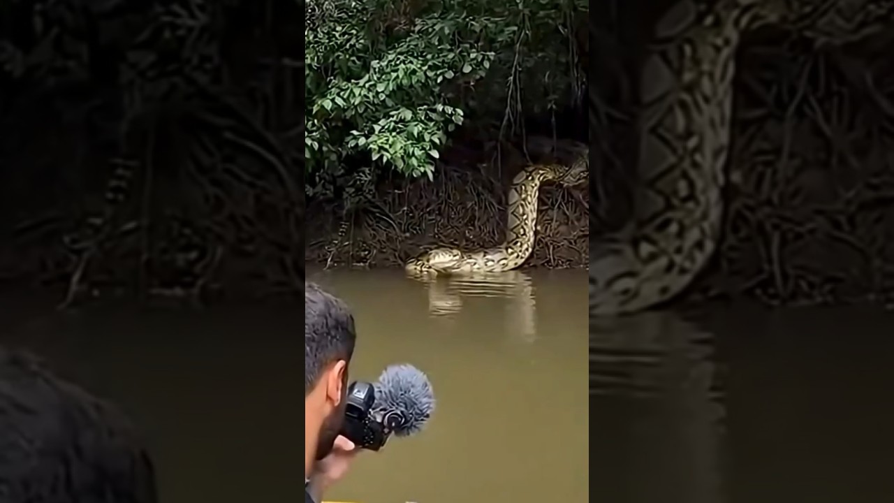 Asombroso Viboron Generado por IA 🐍 ¡Increíble Creatividad Artificial!