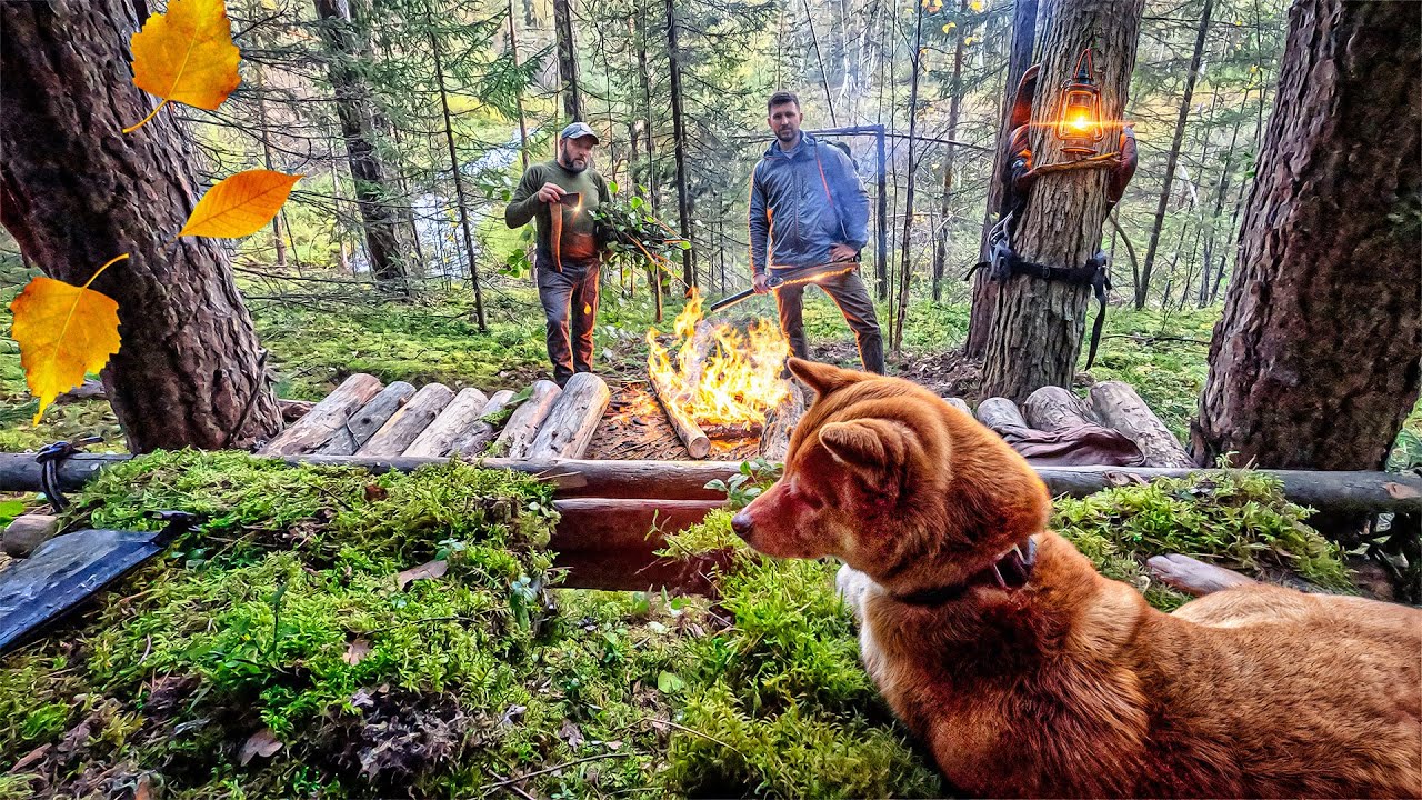 Создание лагеря выживших в лесу без еды и воды — дикая кухня и выживание с минимальным снаряжением