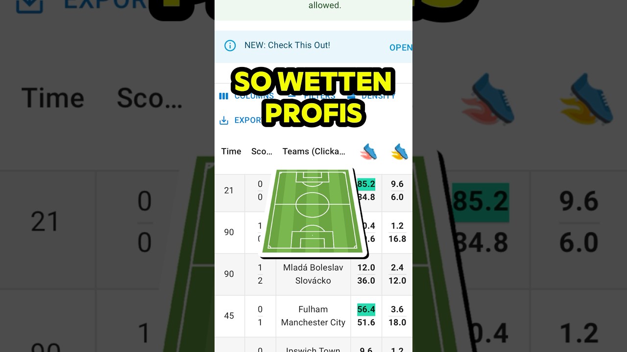 Sportwetten Tipps & Strategien ⚽️