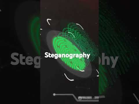 Steganography explain in Hindi (Hide text, Malware in Image)#cybersecurity #ethicalhacking #secrets