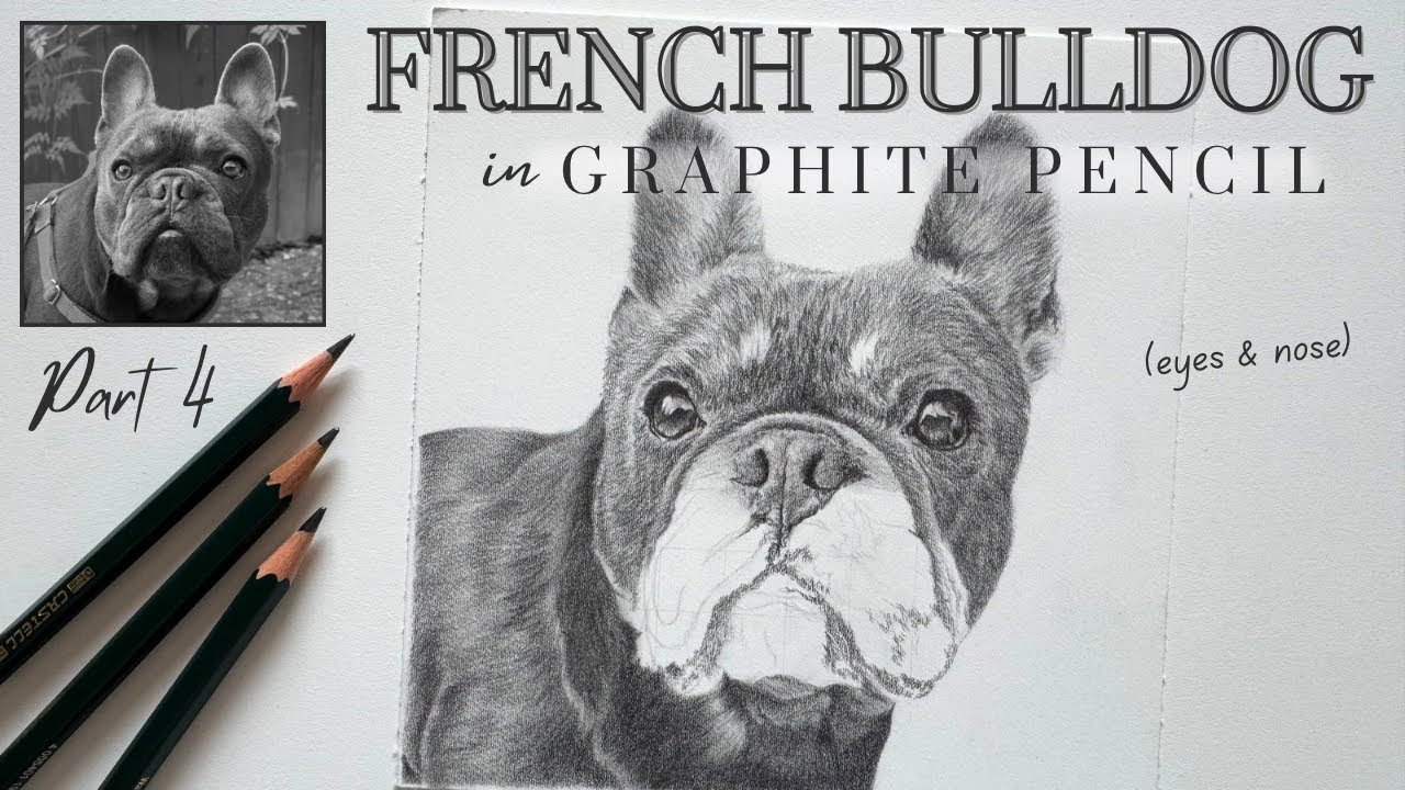 Draw a French Bulldog: Eyes & Nose in Graphite 🖊️