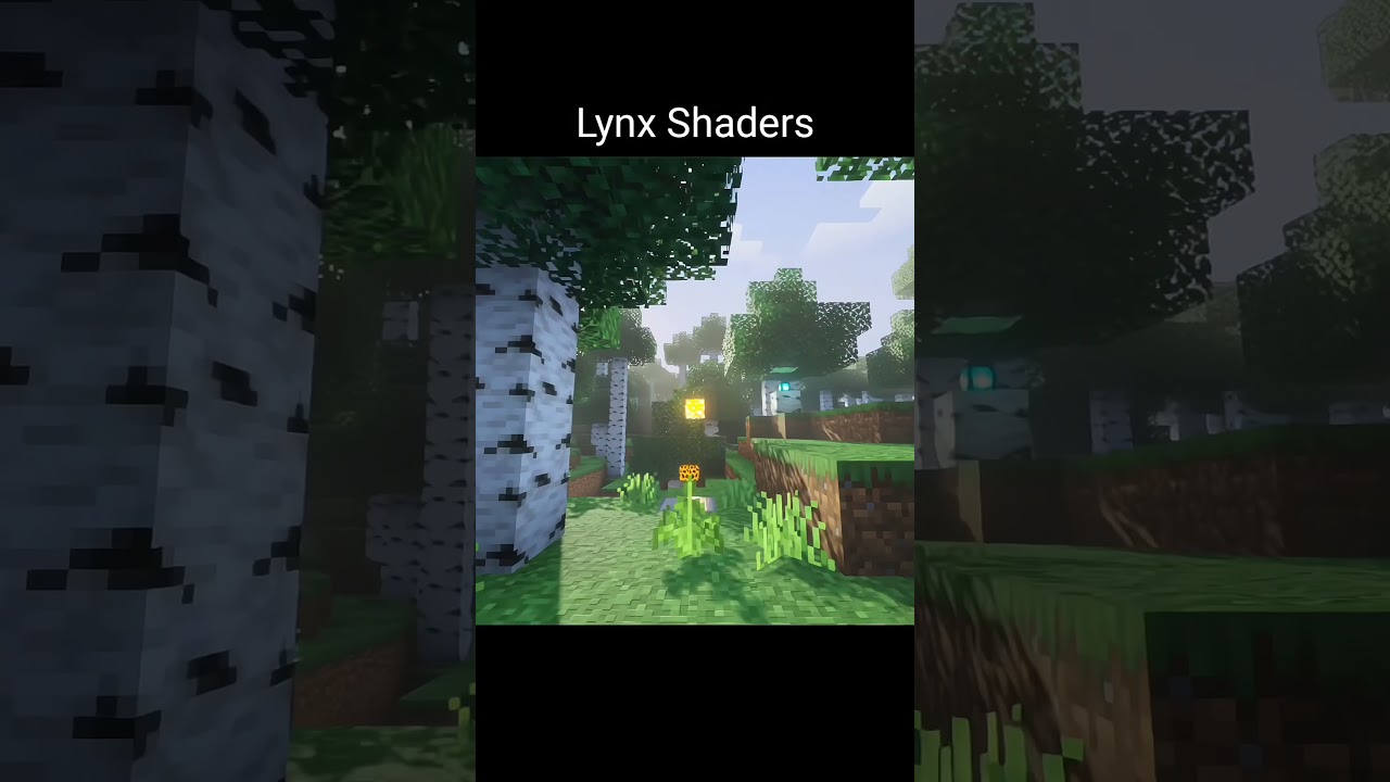 ToP 4 Top 4 Realistic Shaders for Minecraft Bedrock 1.21+ on Android and iOS