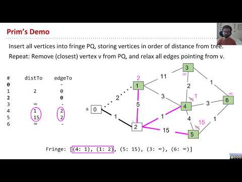 vid7 prims efficient