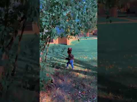 Twins are having the time of there lives 😇🥰#recommended #nature #running #laughs #thehonorfamily