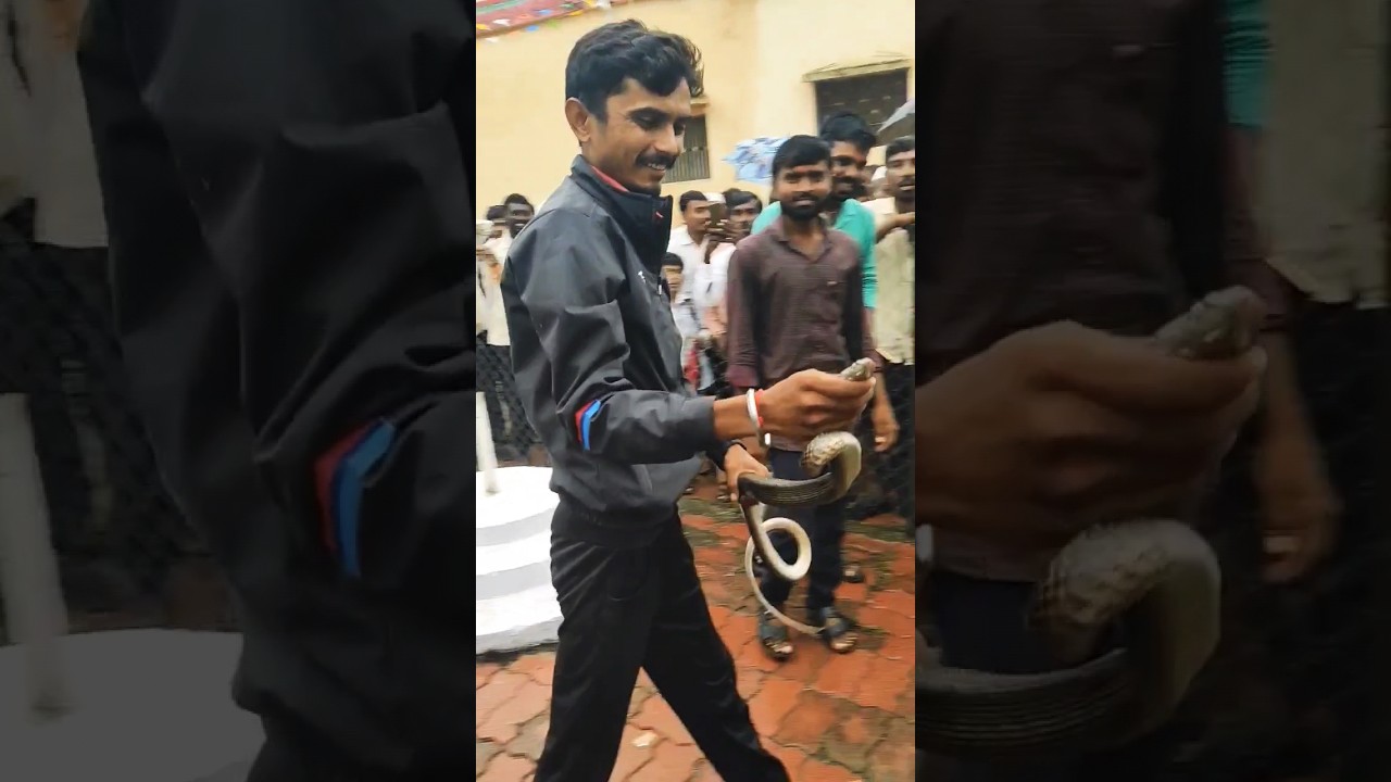 Tragic Cobra Bite Death 😲