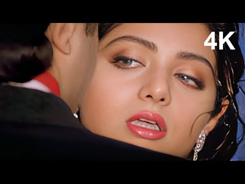 4K VIDEO Janewale Zara Ruk Ja | Roop Ki Rani Choron Ka Raja | 90s Sridevi Anil Kapoor Superhit Song