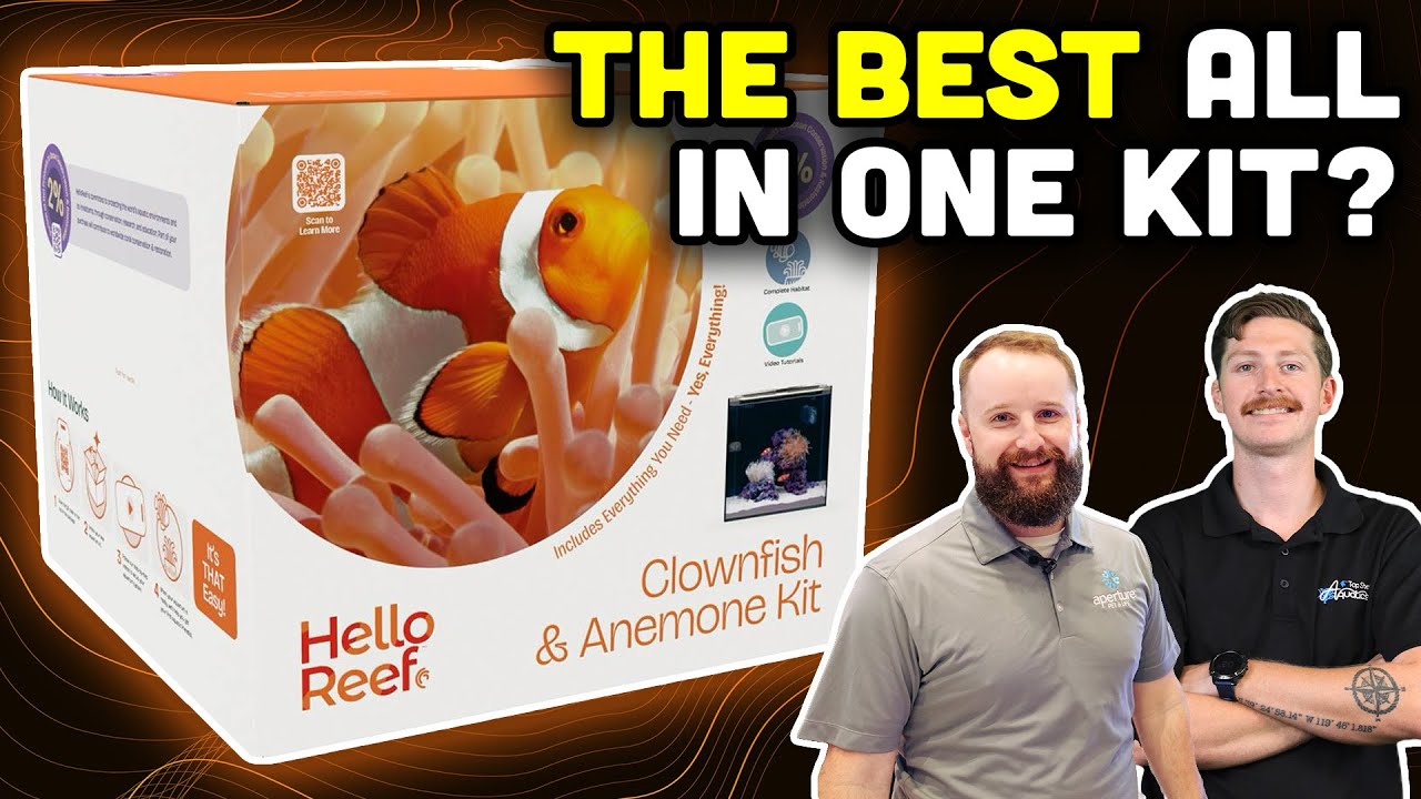 HelloReef Clownfish Kit Review 🐠: The Ultimate All-in-One Saltwater Aquarium Setup