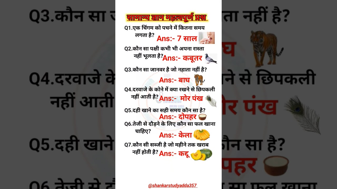 Top 20 GK Questions & Answers 🤓