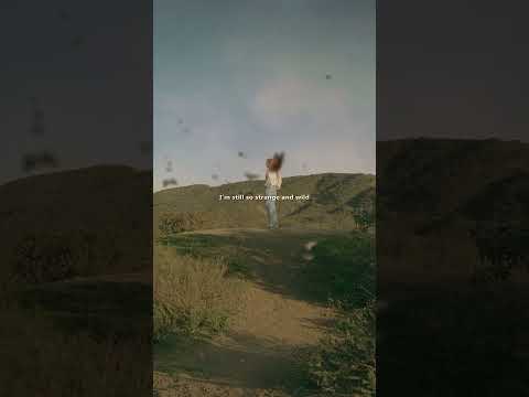 Chemtrails over the Country Club - Lana Del Rey (lyrics) #music #aesthetic