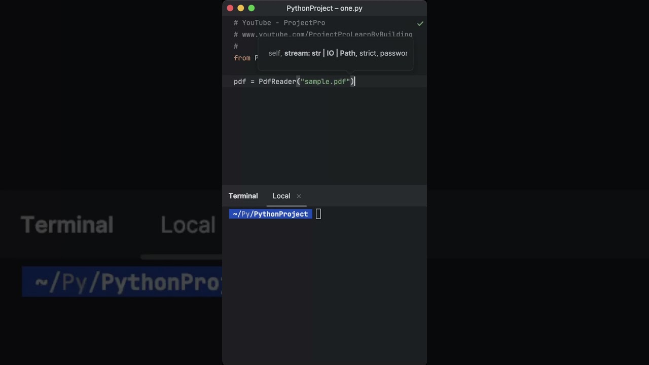 Extract Text from PDFs in Python 📄