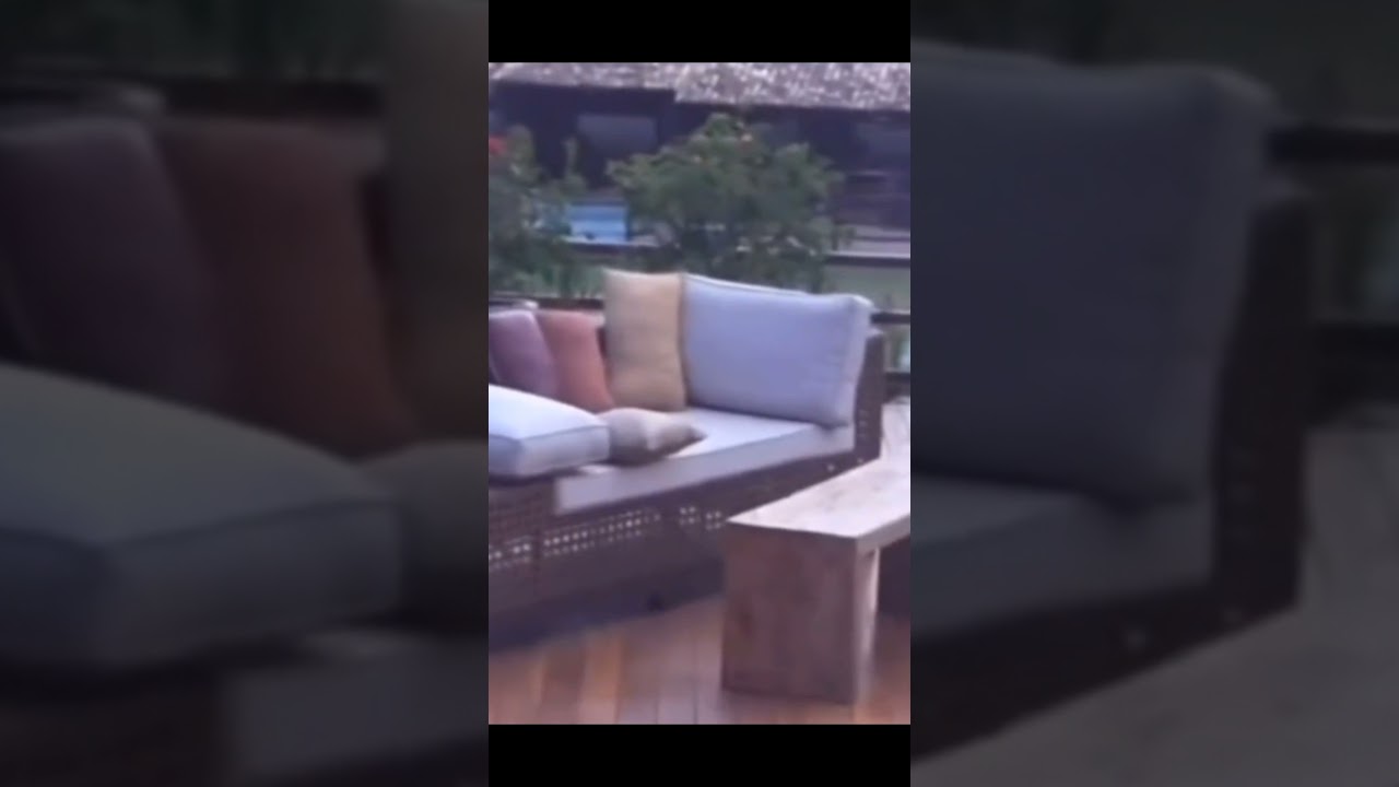 ENEM 2021 Memes and Highlights 🎓