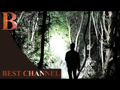 Аномальная зона под Ростовом. Зелёный остров