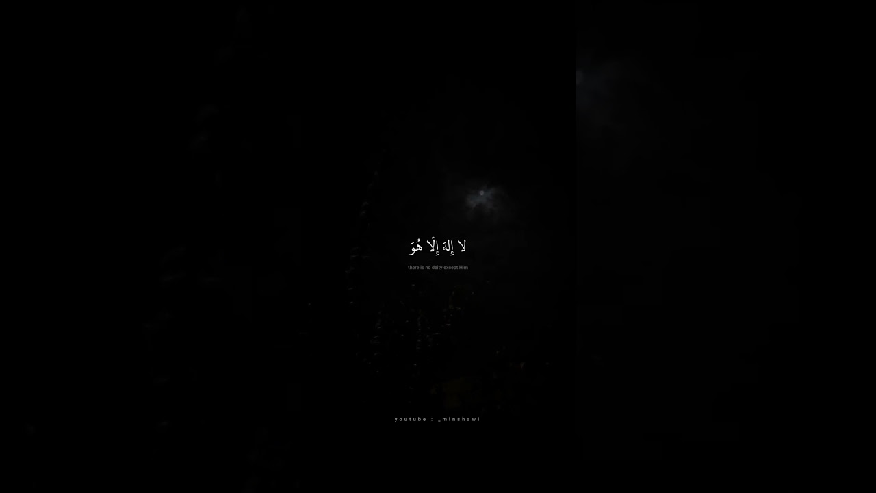 آيات من سورة القصص بصوت محمد صديق المنشاوي 📖