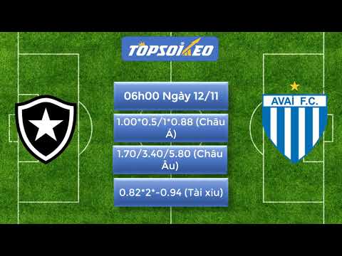 Soi kèo Botafogo vs Avai, 06h00 ngày 1211, VĐQG Brazil