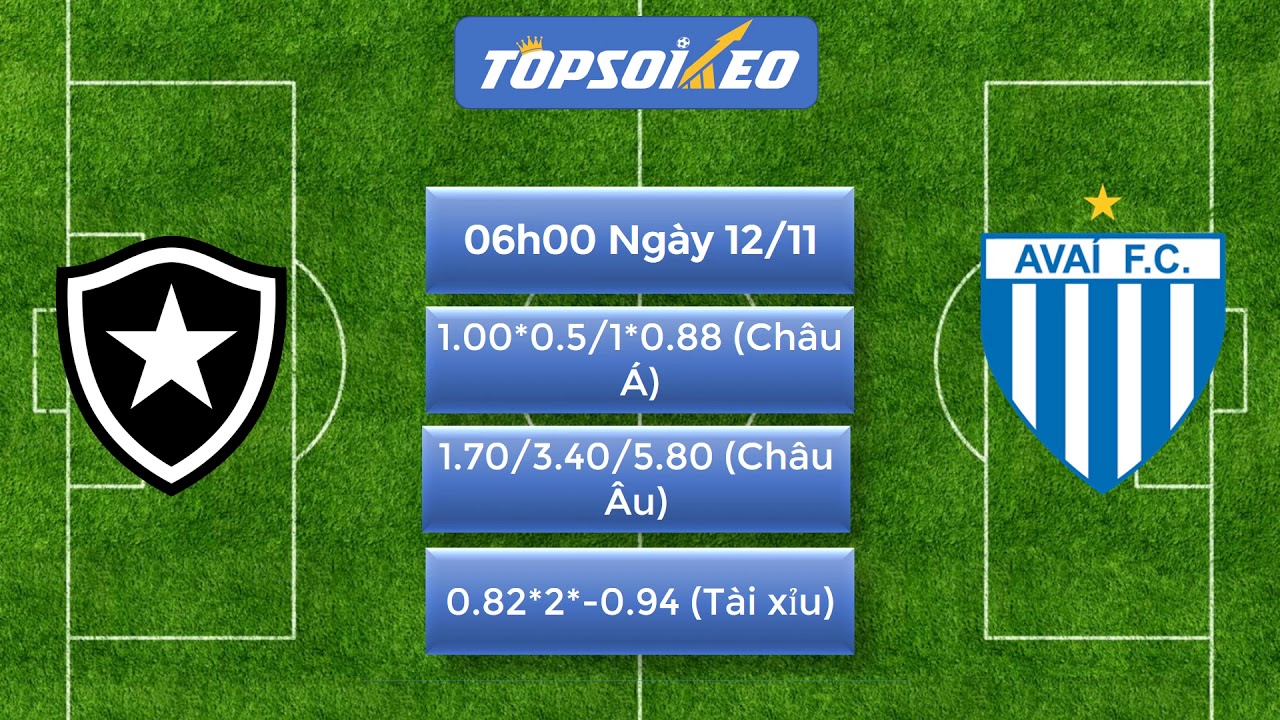 Soi kèo Botafogo vs Avai, 06h00 ngày 12/11, VĐQG Brazil