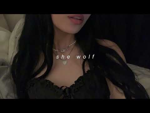 shakira! — she wolf (sped up)