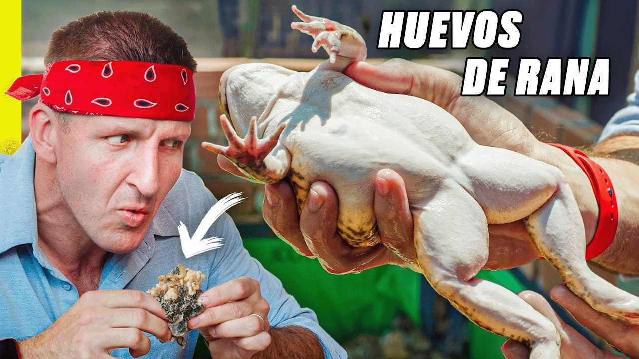 Comida Extraña en Asia: Carne de Rana y Sopa de Cerebro 🐸