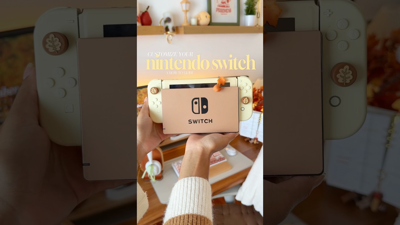Switch Customization Guide 📝