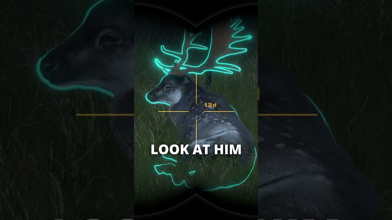 Great Find in My Sanctuary! 🌿 | theHunter: Call of the Wild