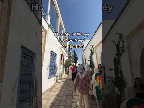 Tunisia Travel Costs!