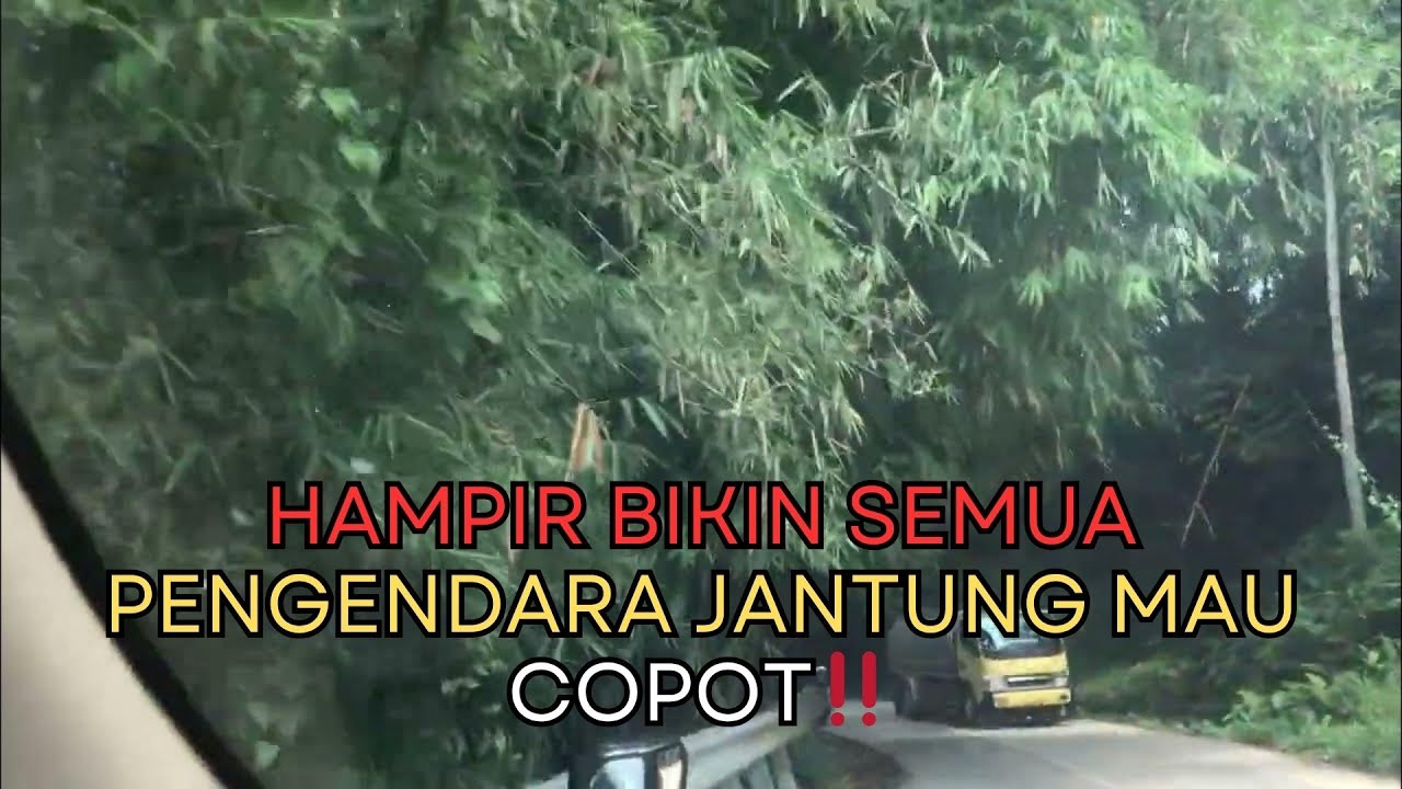 Ultimate 70s–90s Classic Rock Love Songs 🎸 – Led Zeppelin & Guns N’ Roses (Remastered 2025, 1 Hour)