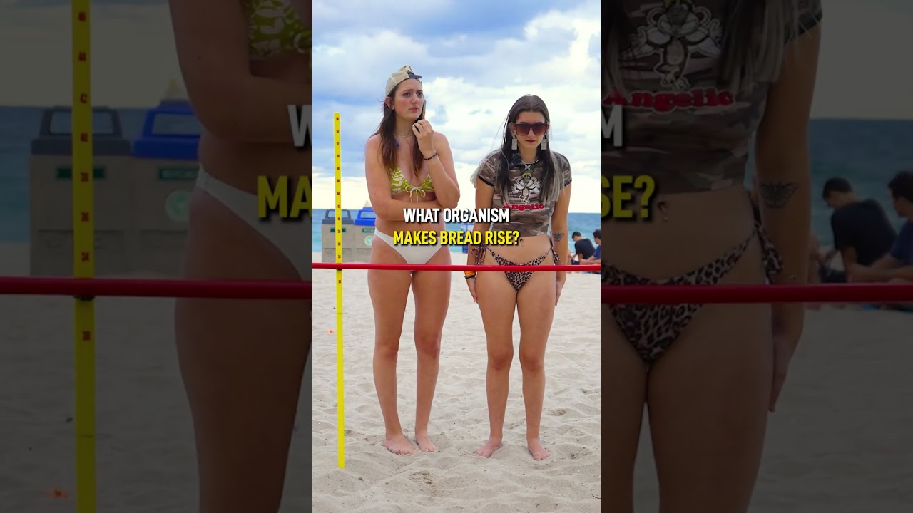 Fun Beach Trivia Quiz 🏖️