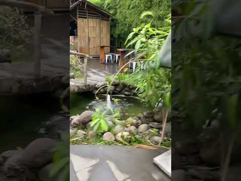 main petak umpet#mainpetakumpet