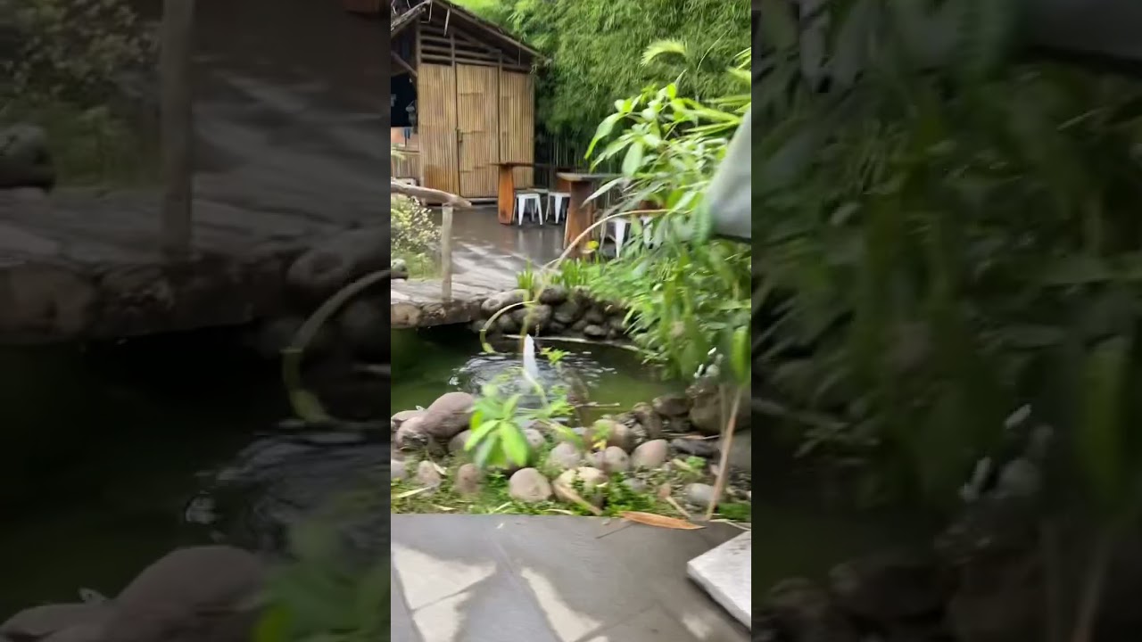 Main Petak Umpet - Seru dan Mengasah Otak 🎉