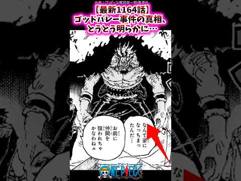 【最新1164話】ゴッドバレー事件の真相、とうとう明らかに…【ワンピース】#ロックス#ロジャー#ガープ#イム#最新1164話