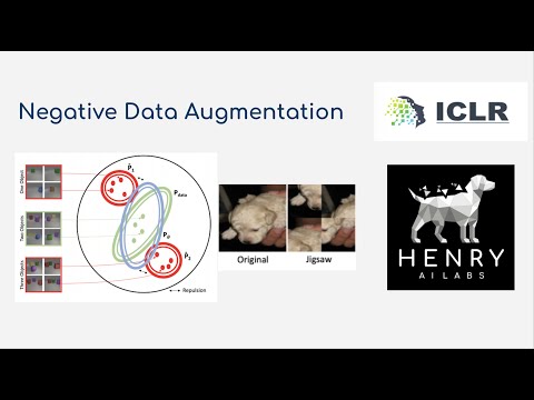Negative Data Augmentation