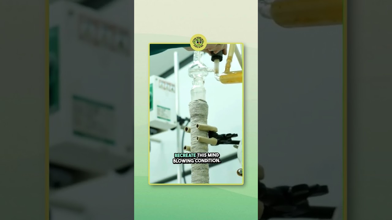 Understanding the Triple Point 🌡️