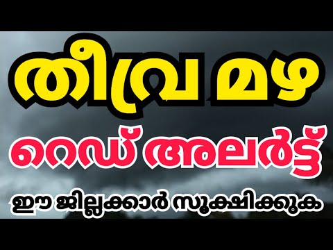 വീണ്ടും റെഡ് അലർട്ട് തീവ്രമഴ തുടരും kerala news| kerala rain news today