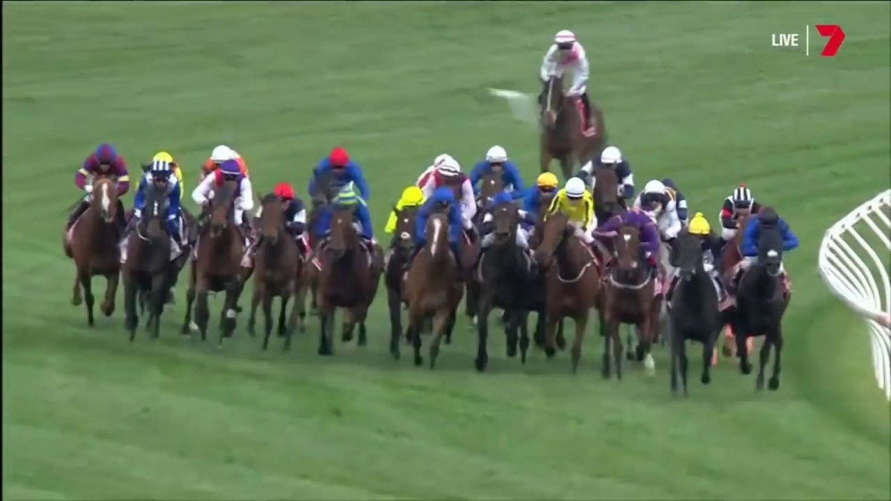 2016 Melbourne Cup Full Race HD | Exciting Finish from Flemington 🏆