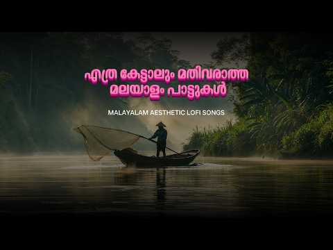 🌸 Part 3 : Malayalam & Tamil Lo-fi: Relaxing Covers for Sleep & Chill ~ © Copyright free songs 🌸 ✨