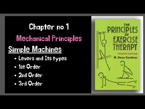Types of Levers in Kinesiology π¦Ύ