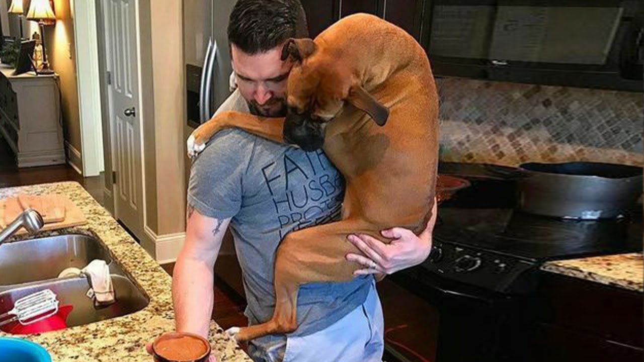 Adorable Dog Can't Stop Hugging Its Human 🐶