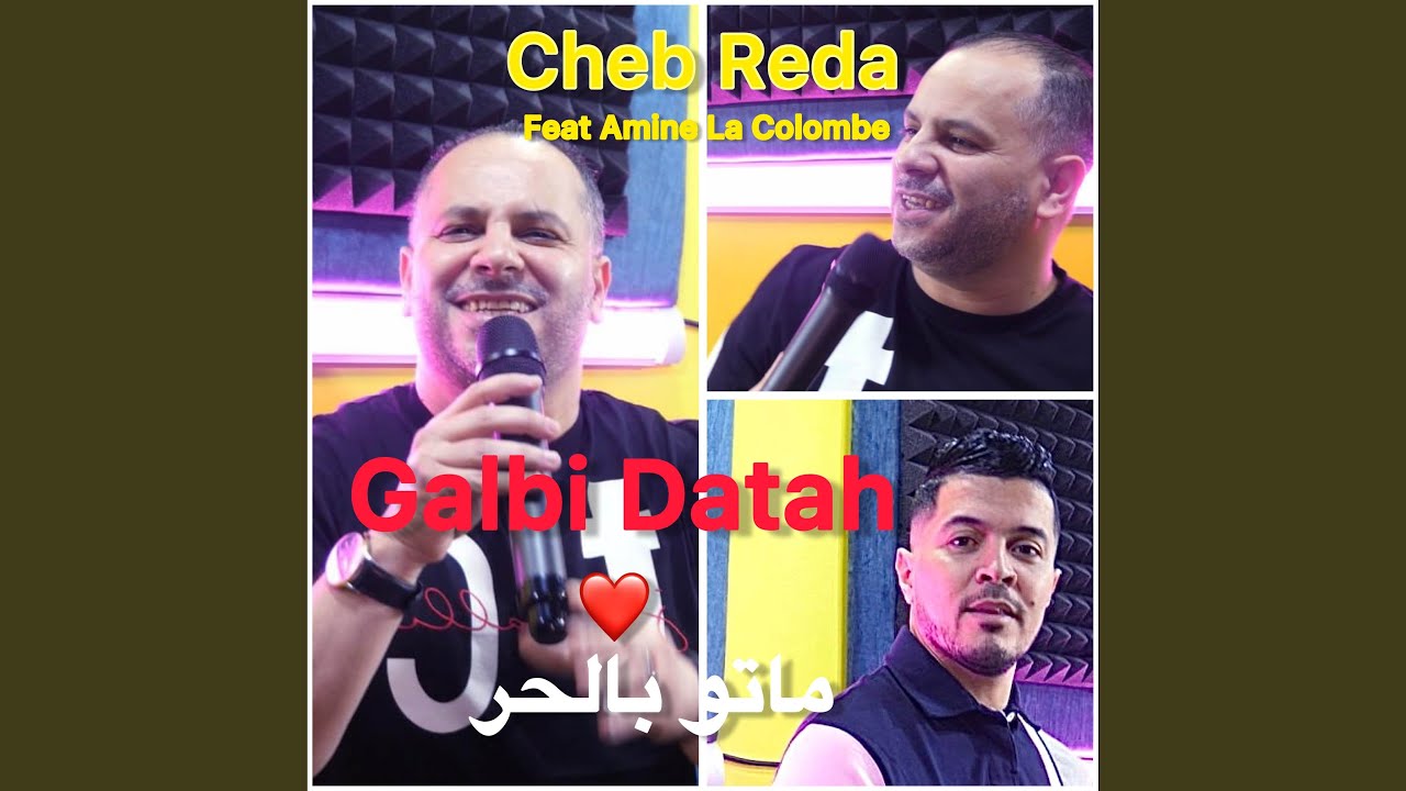 Galbi Datah by Cheb Reda & Amine La Colombe 🎶