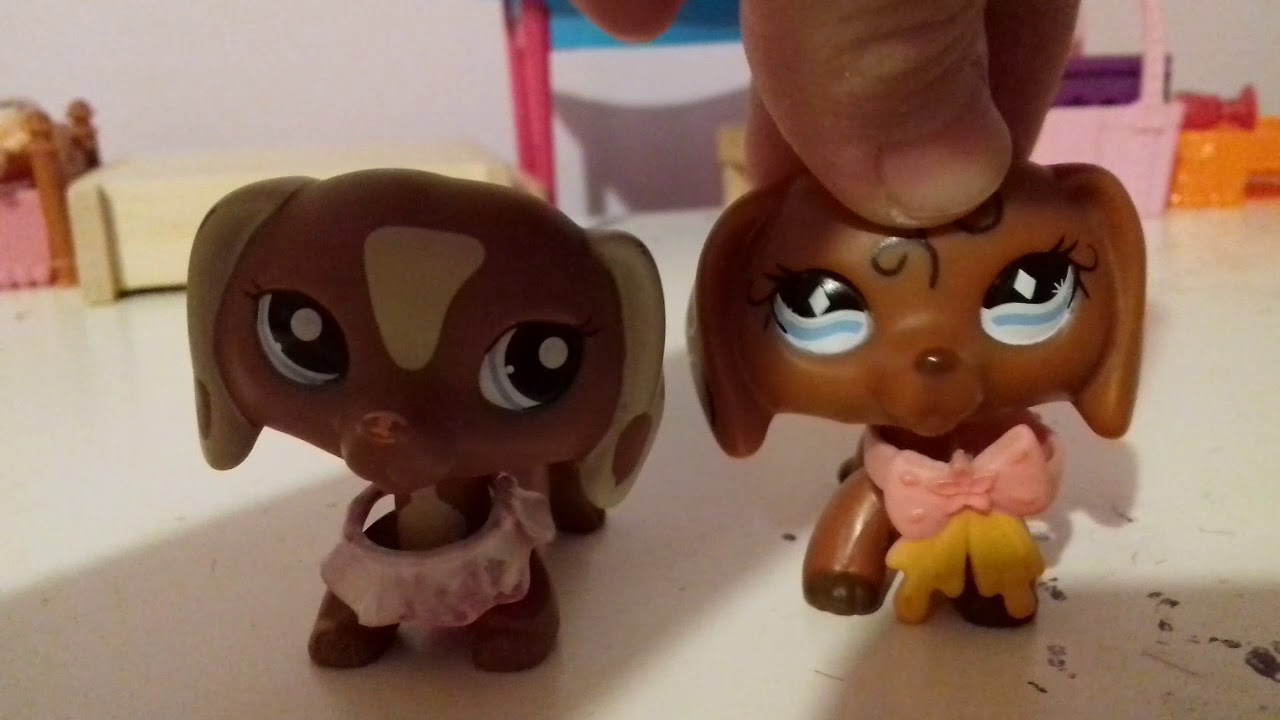 Kittbellayt's Exclusive VIP YouTube Content 🎥