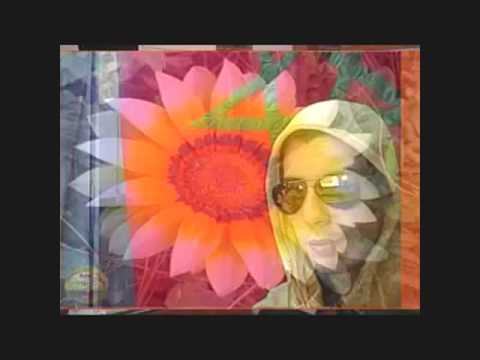 Simolaissuoi 2015: Financial Details Overview