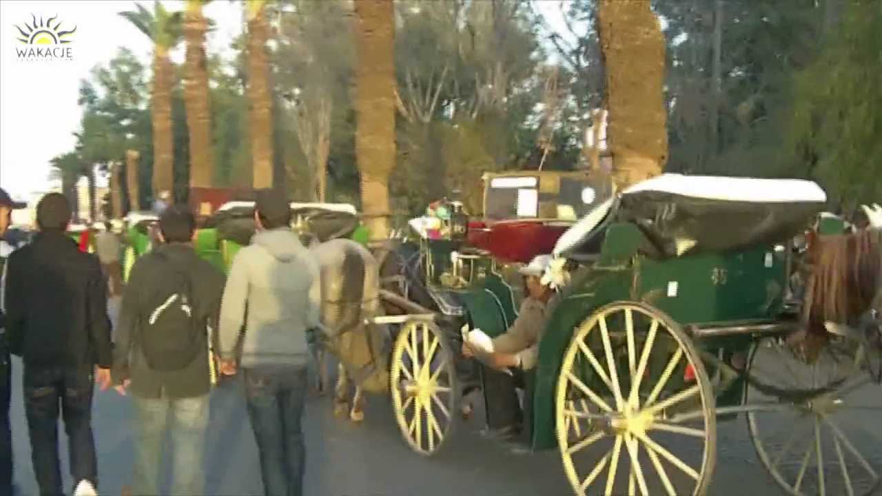 Marrakech & Djamaa El Fna: Budget Travel Deals ✈️