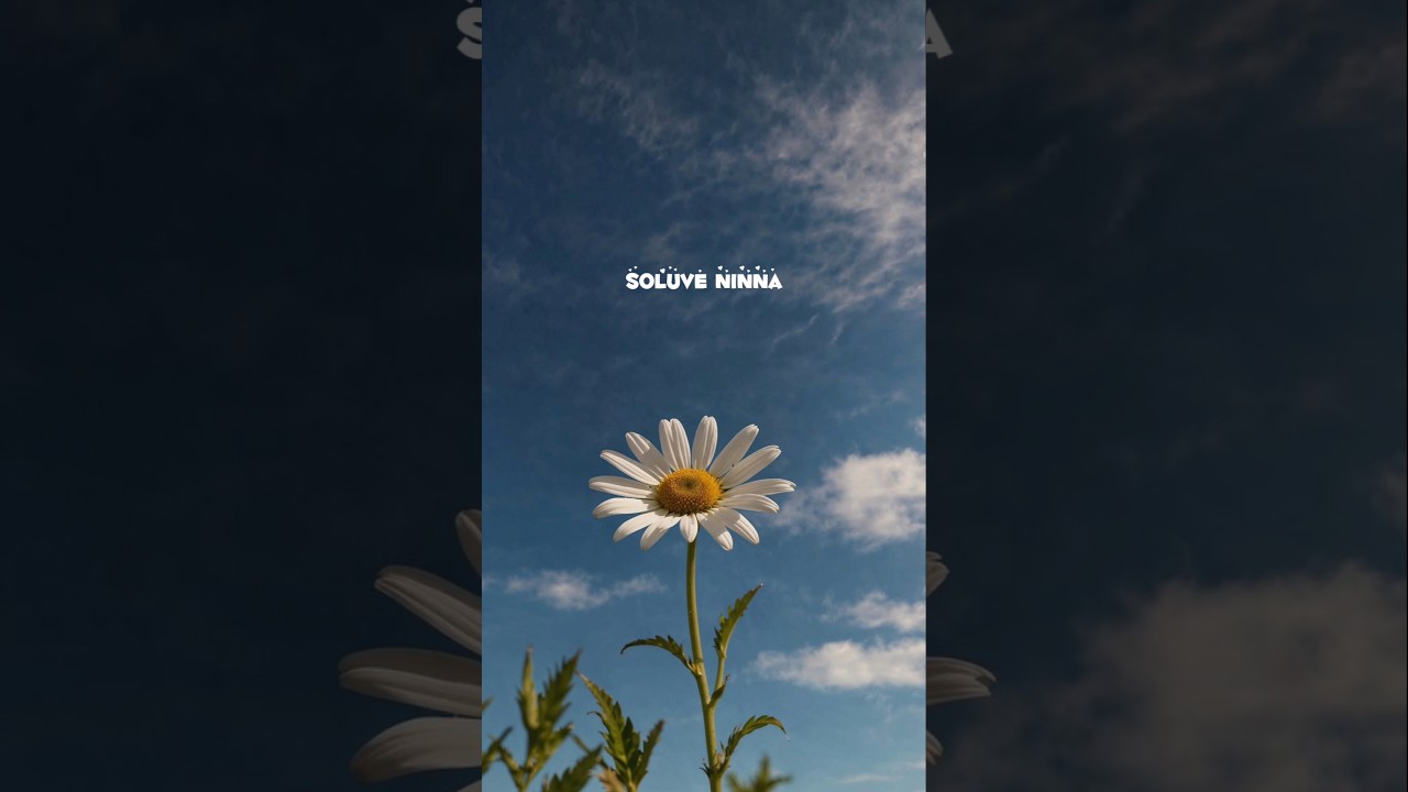 Soluve Ninna Preetiya Munde 💗