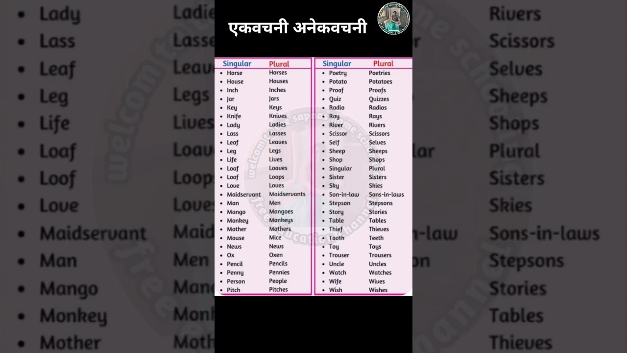 English Grammar: Singular & Plural Forms 📚