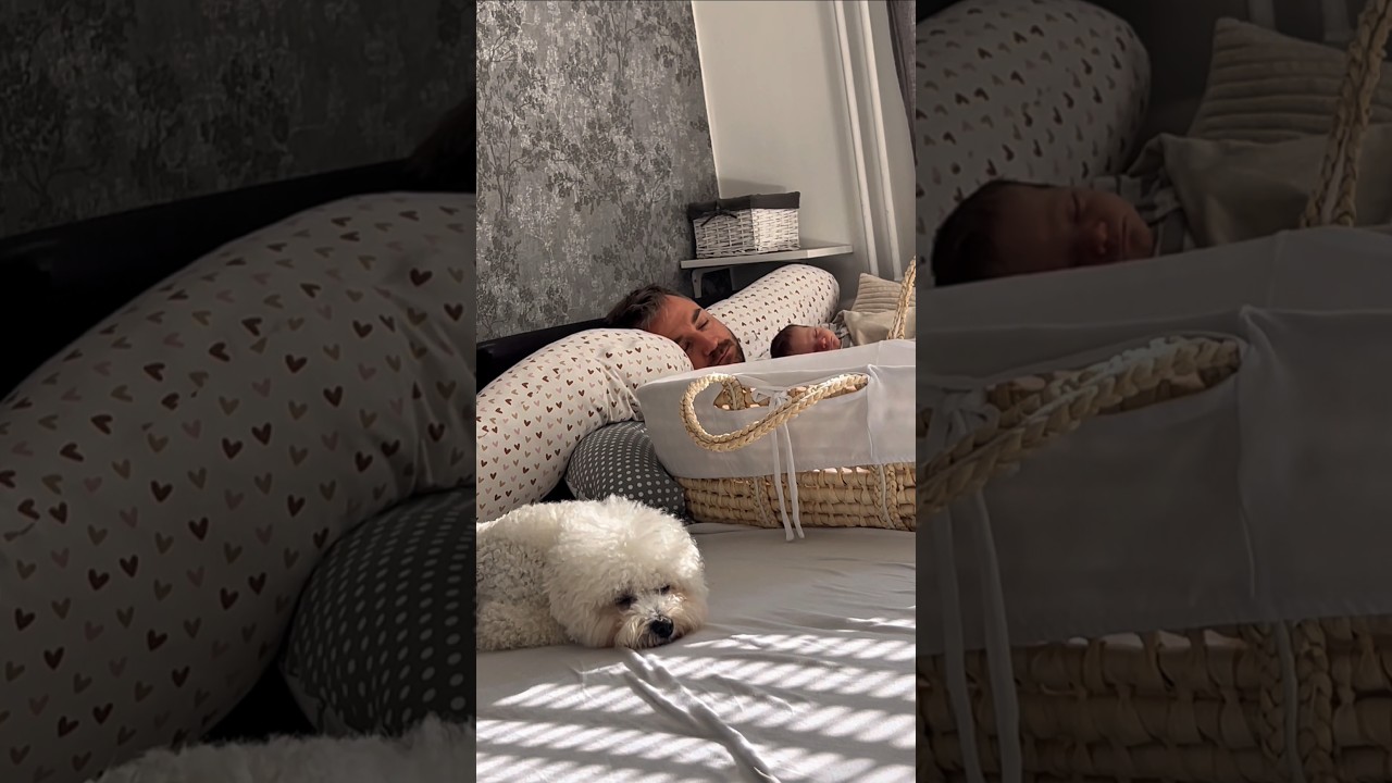 Levček je star 1 mesec 🦁