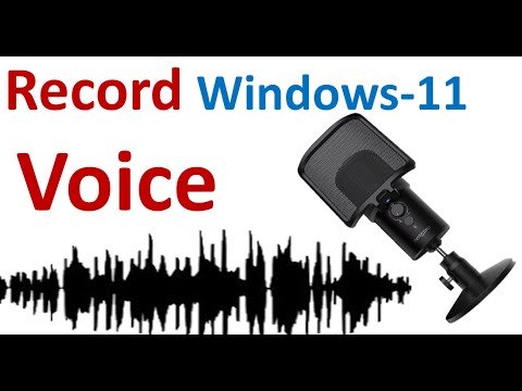 🎤 Record your Voice Professionally 2022 - AUDACITY | How to Record Voice on Windows 10
